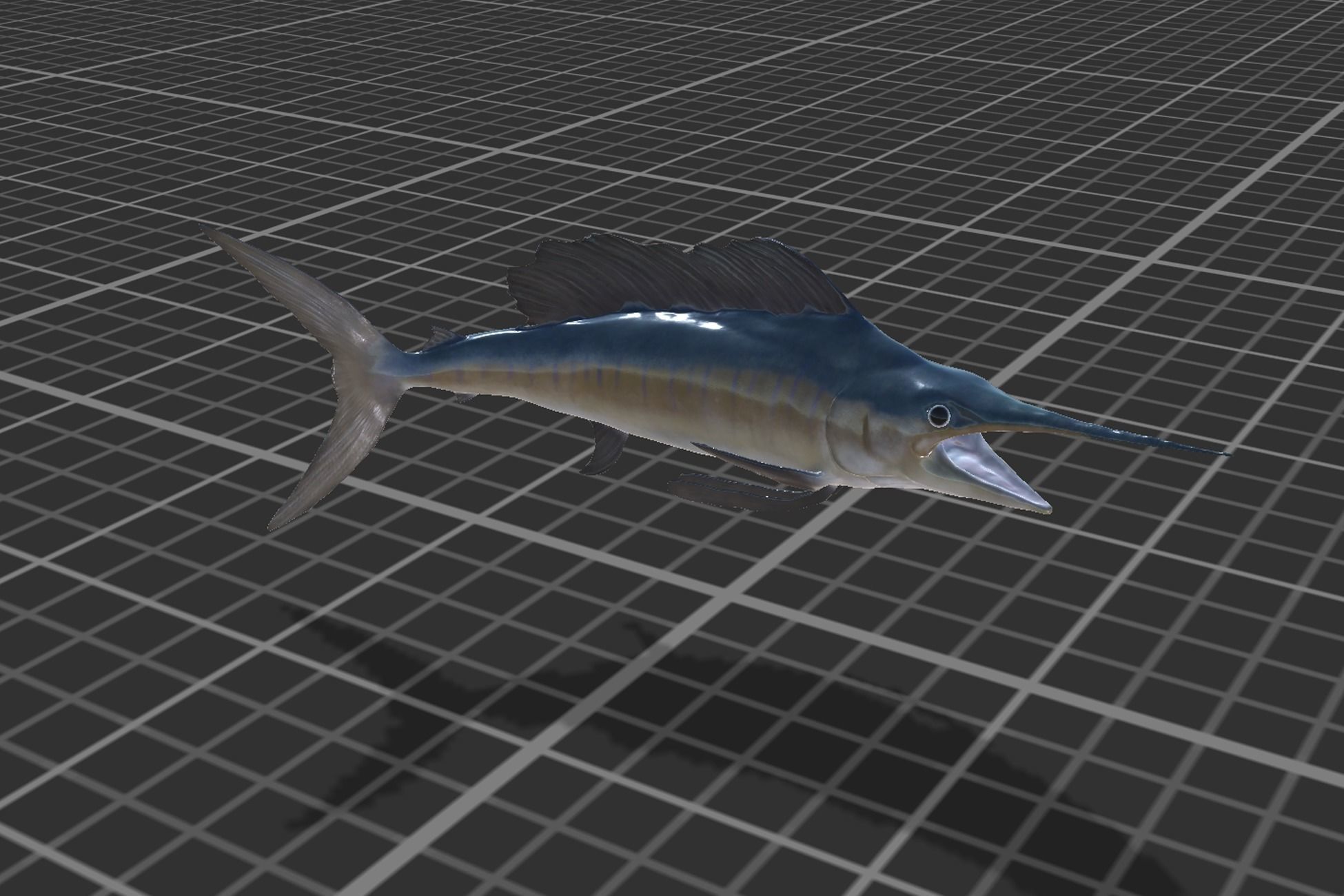 Sailfish Low-poly 3D model_7
