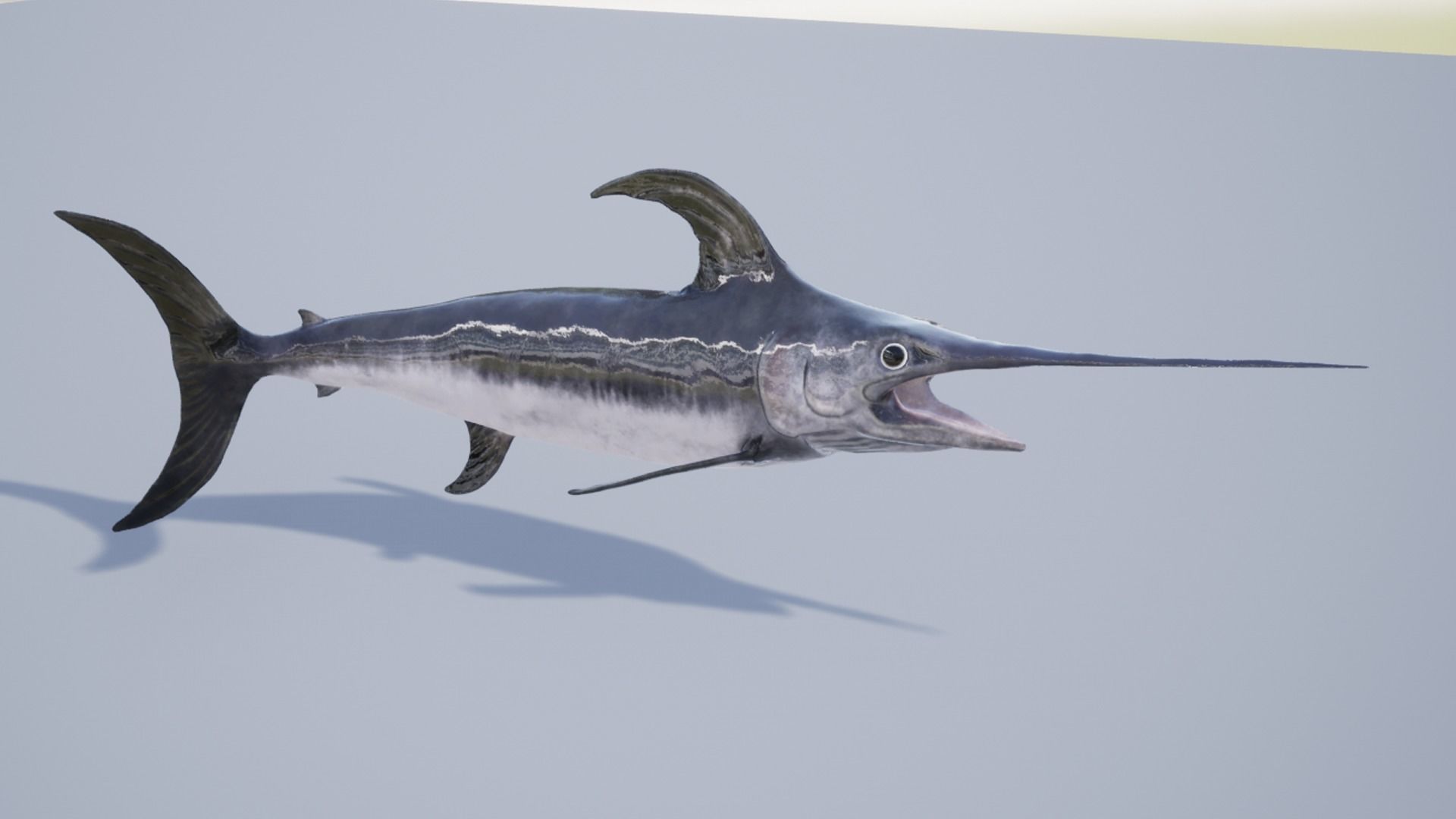 Sea fish pack Low-poly 3D model_17