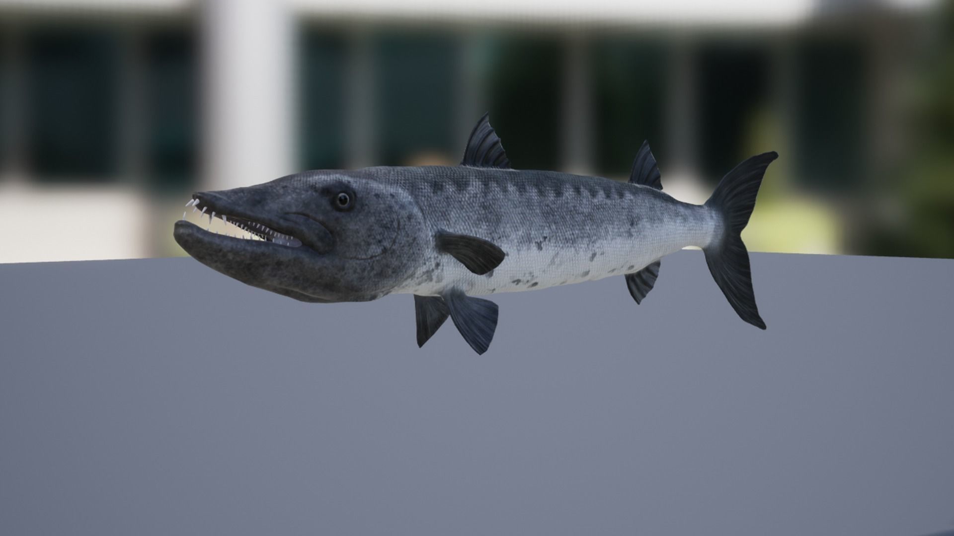 Sea fish pack Low-poly 3D model_8