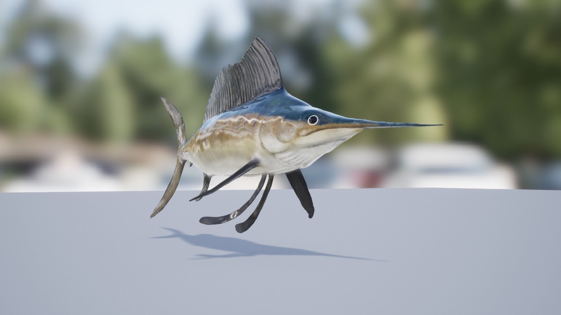 Sea fish pack Low-poly 3D model_13