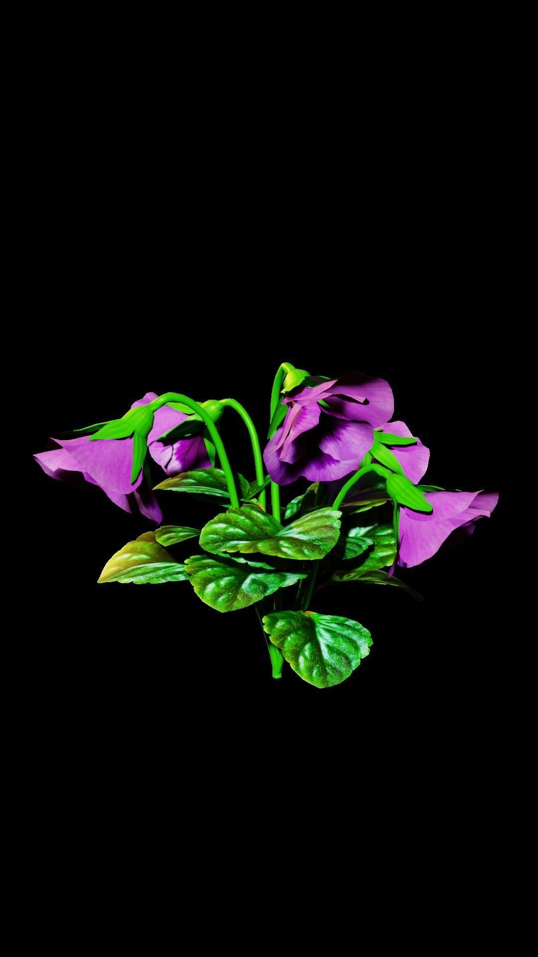 violet flower Low-poly 3D model_3