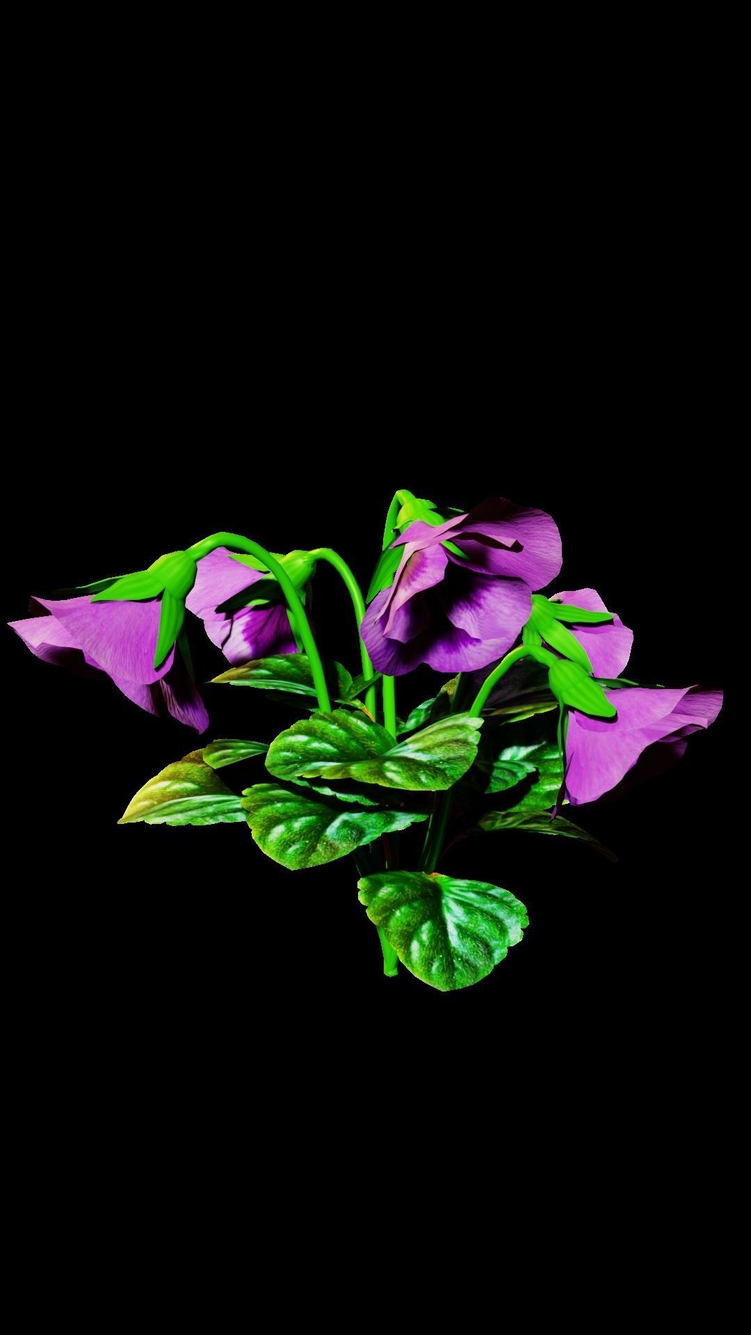 violet flower Low-poly 3D model_1