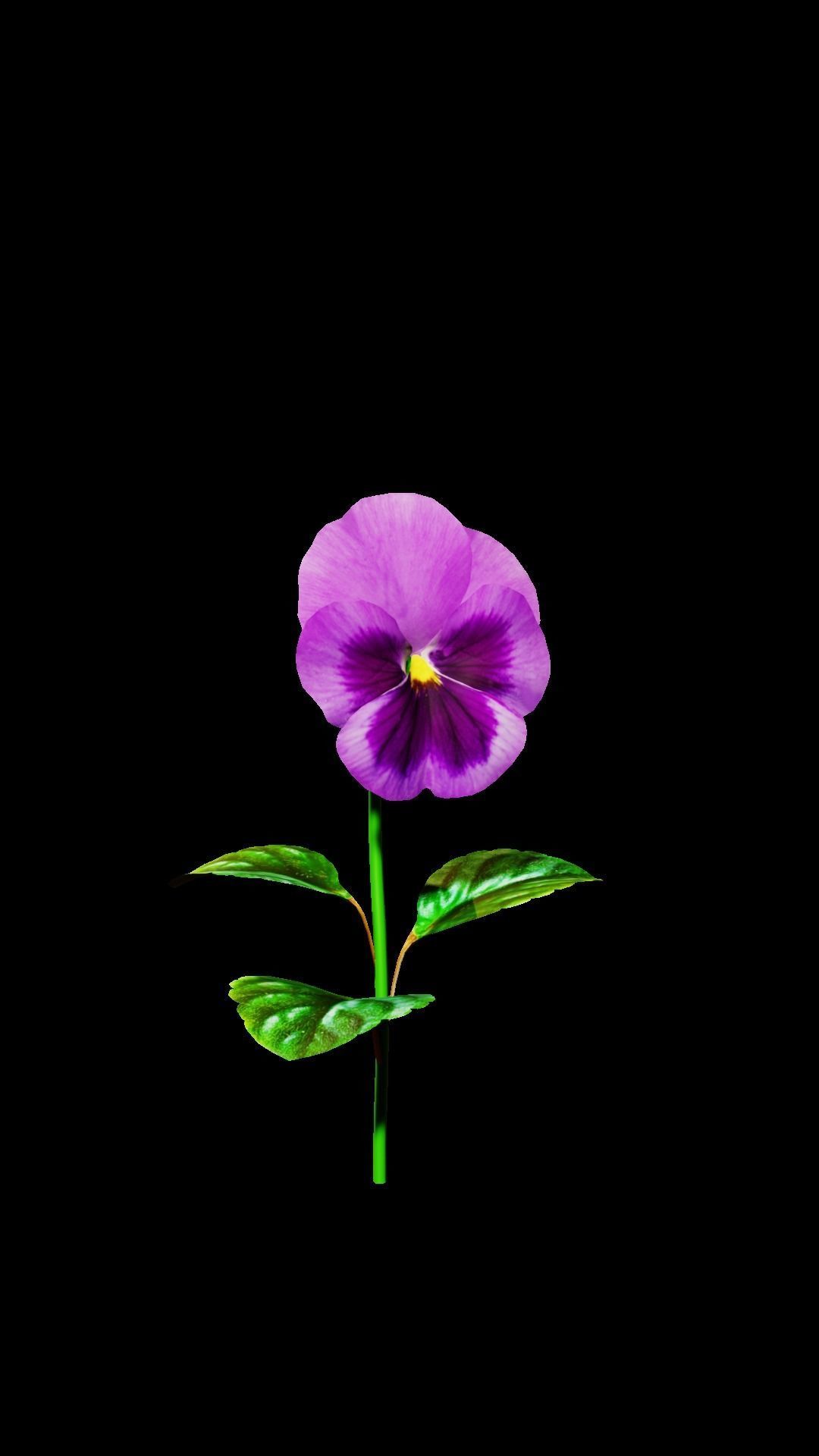 violet flower Low-poly 3D model_2