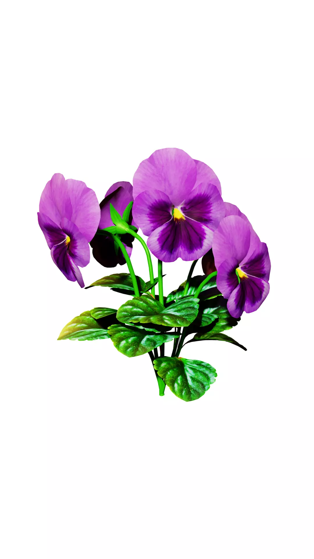 violet flower Low-poly 3D model_0