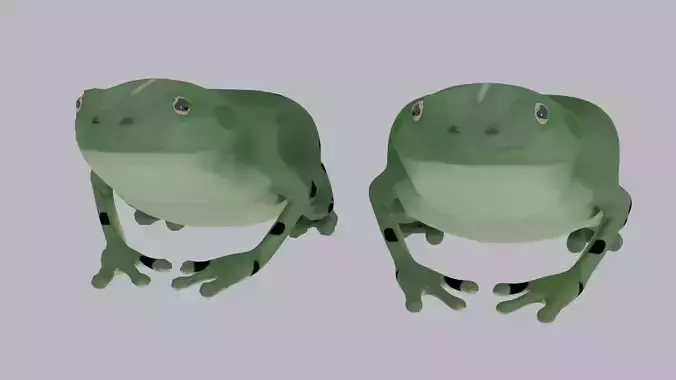 Chubby Frog simple 
