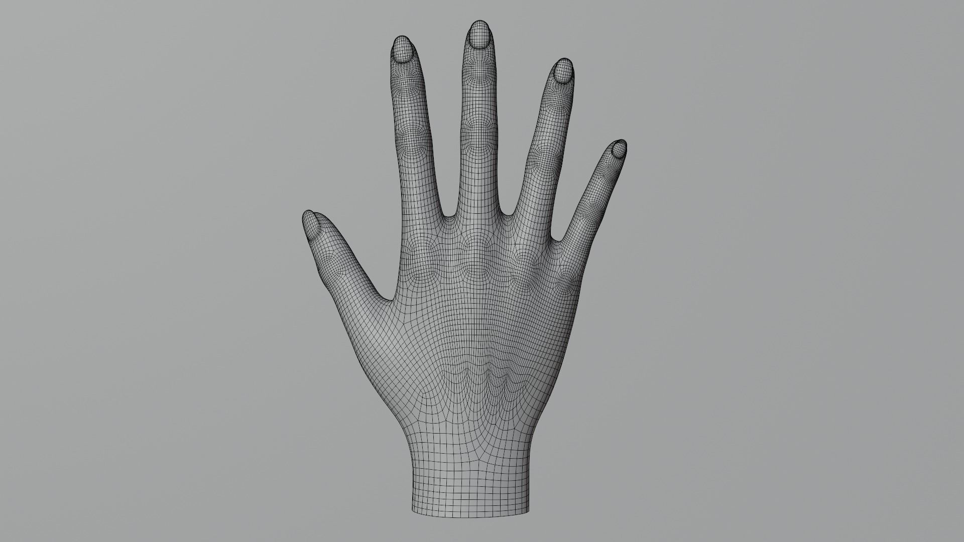 hand PBR low-poly mannequin Low-poly 3D model_8