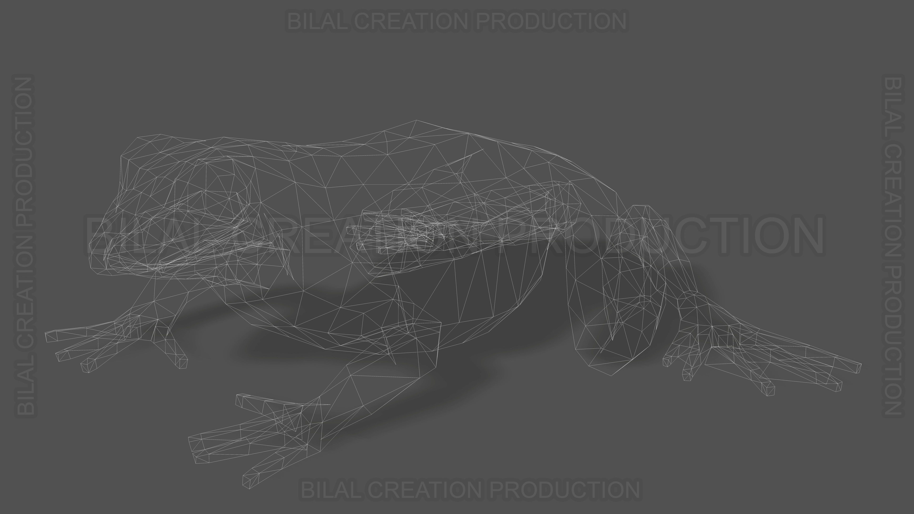 ANIMATED FROG 4 Low-poly 3D model_18