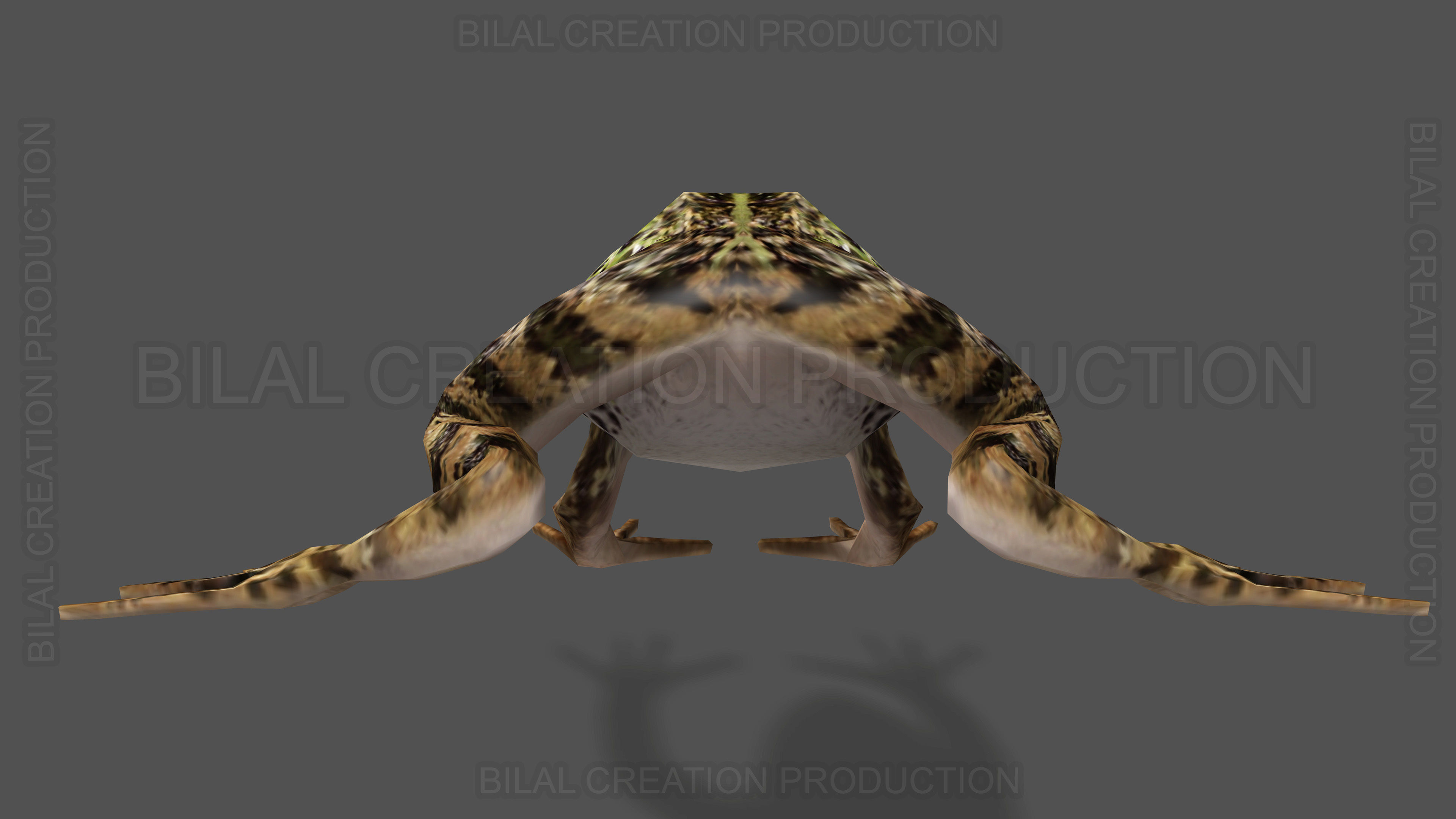 ANIMATED FROG 4 Low-poly 3D model_13