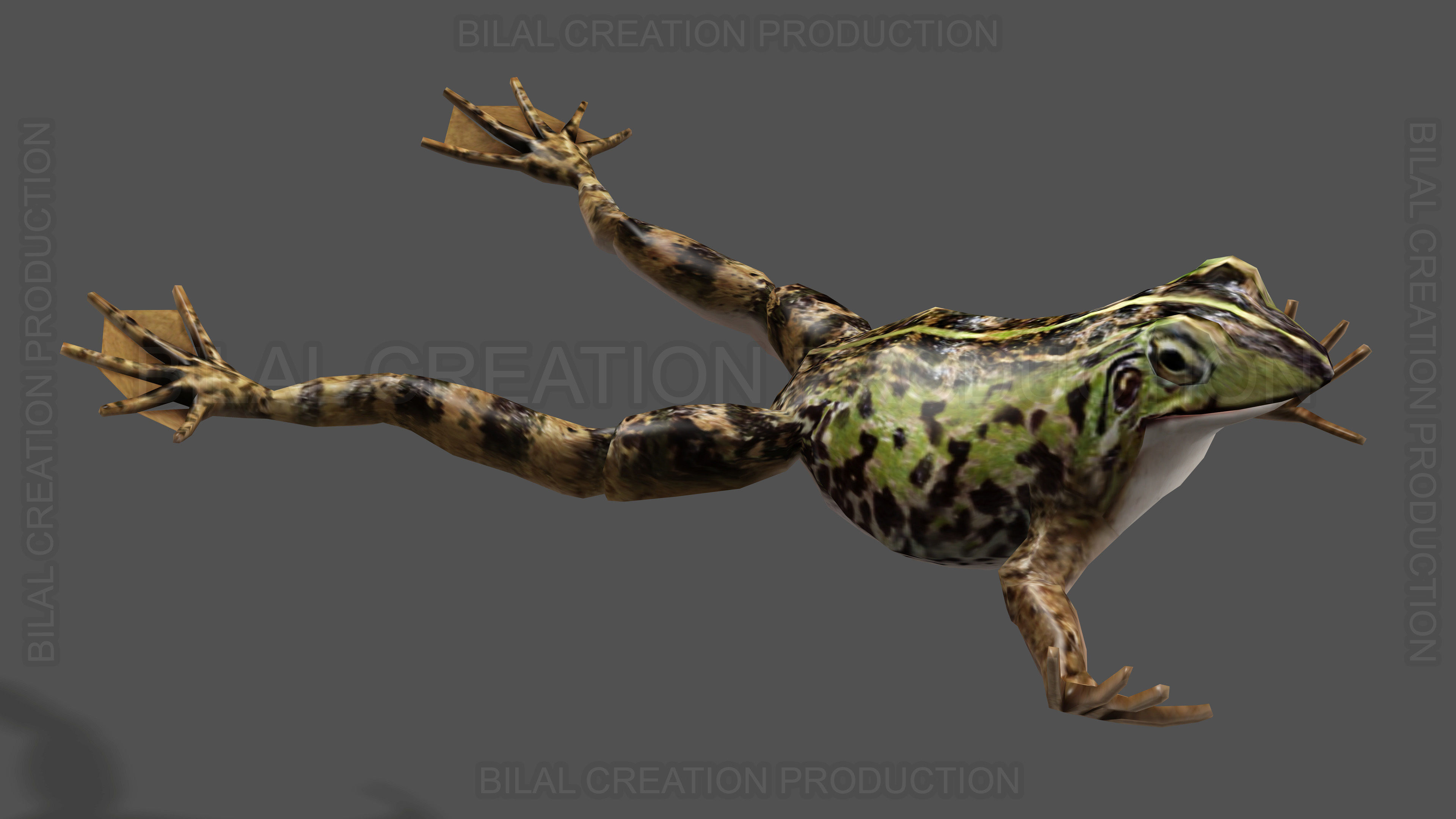 ANIMATED FROG 4 Low-poly 3D model_12