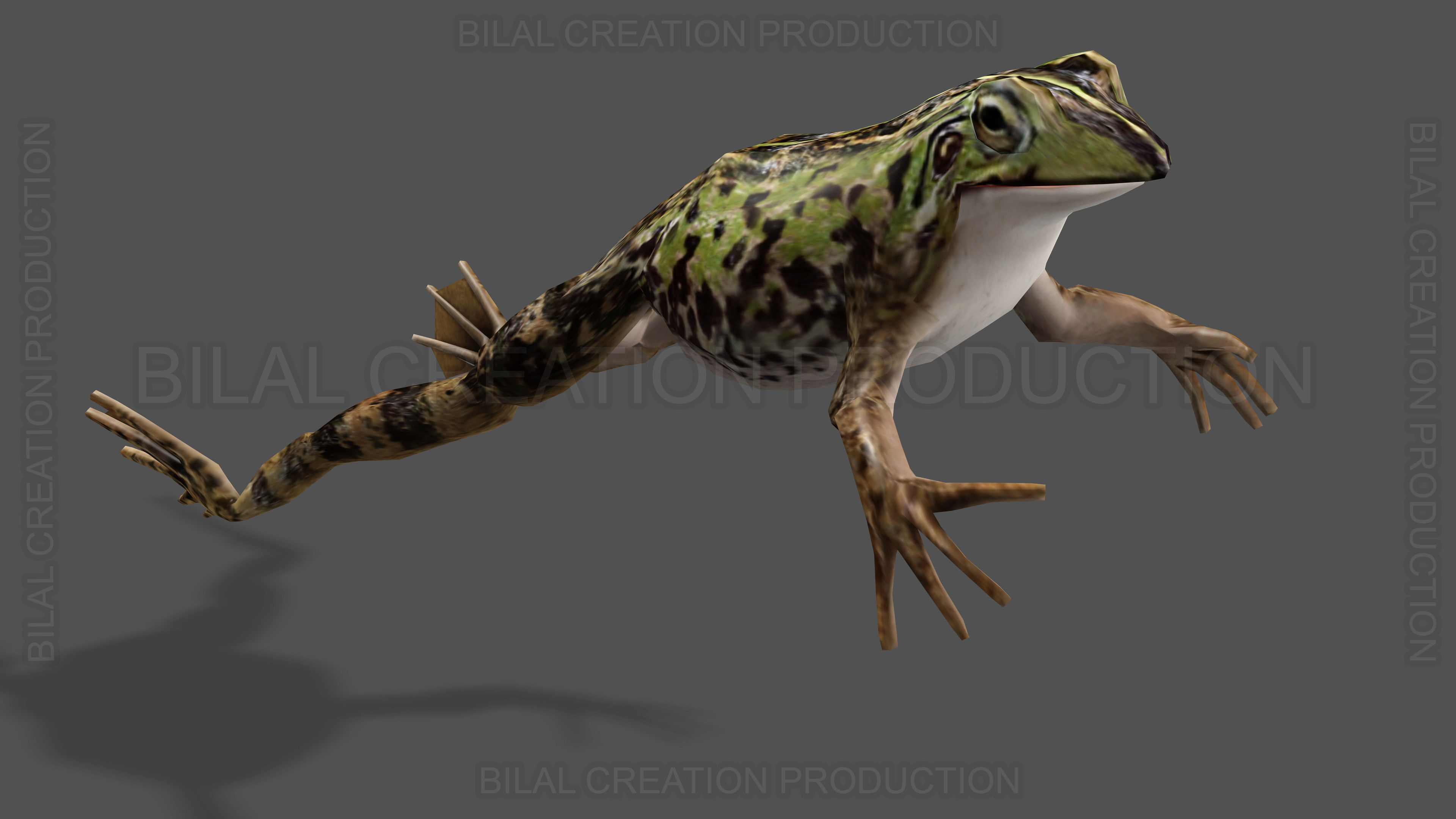 ANIMATED FROG 4 Low-poly 3D model_4