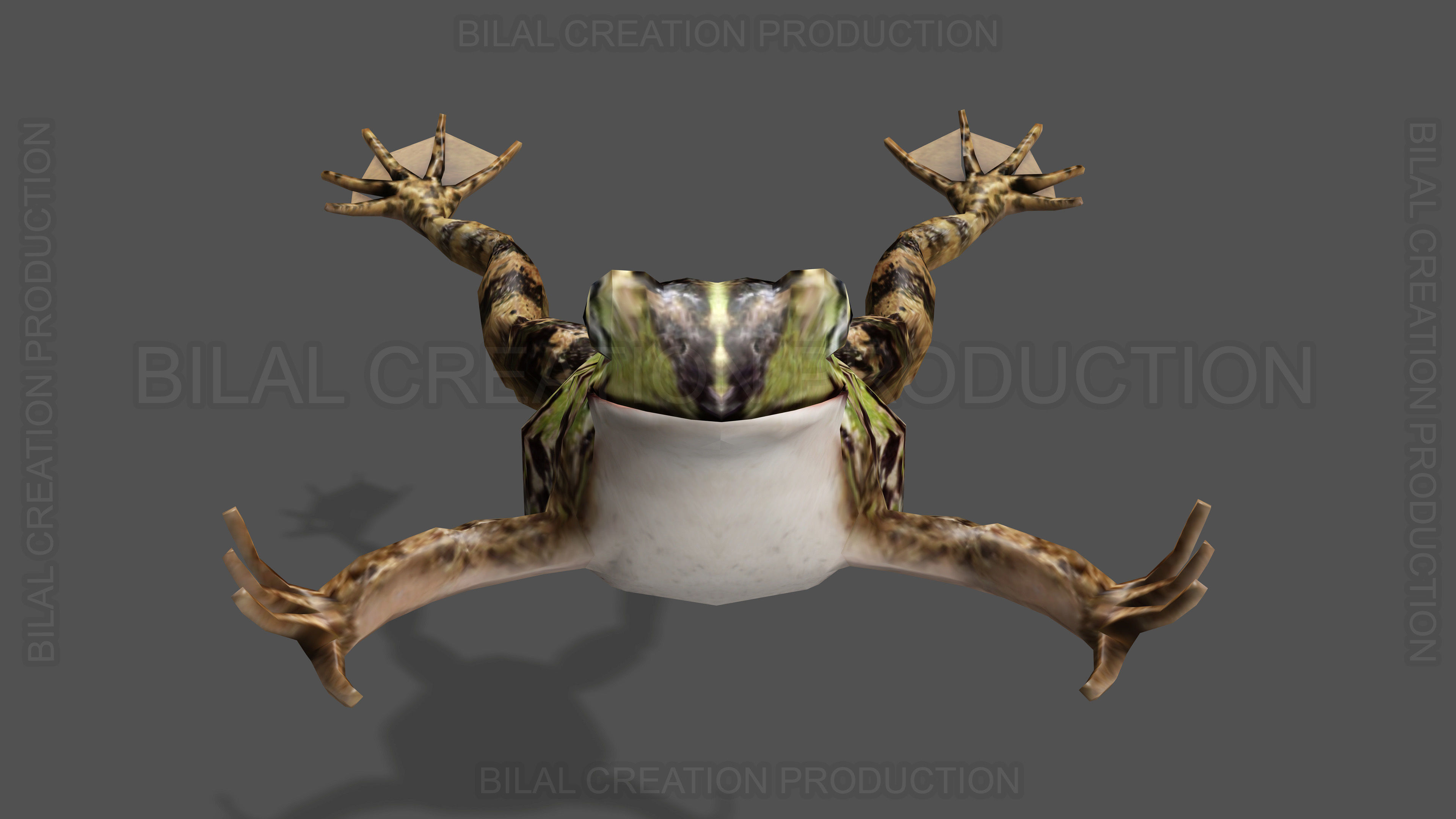 ANIMATED FROG 4 Low-poly 3D model_11