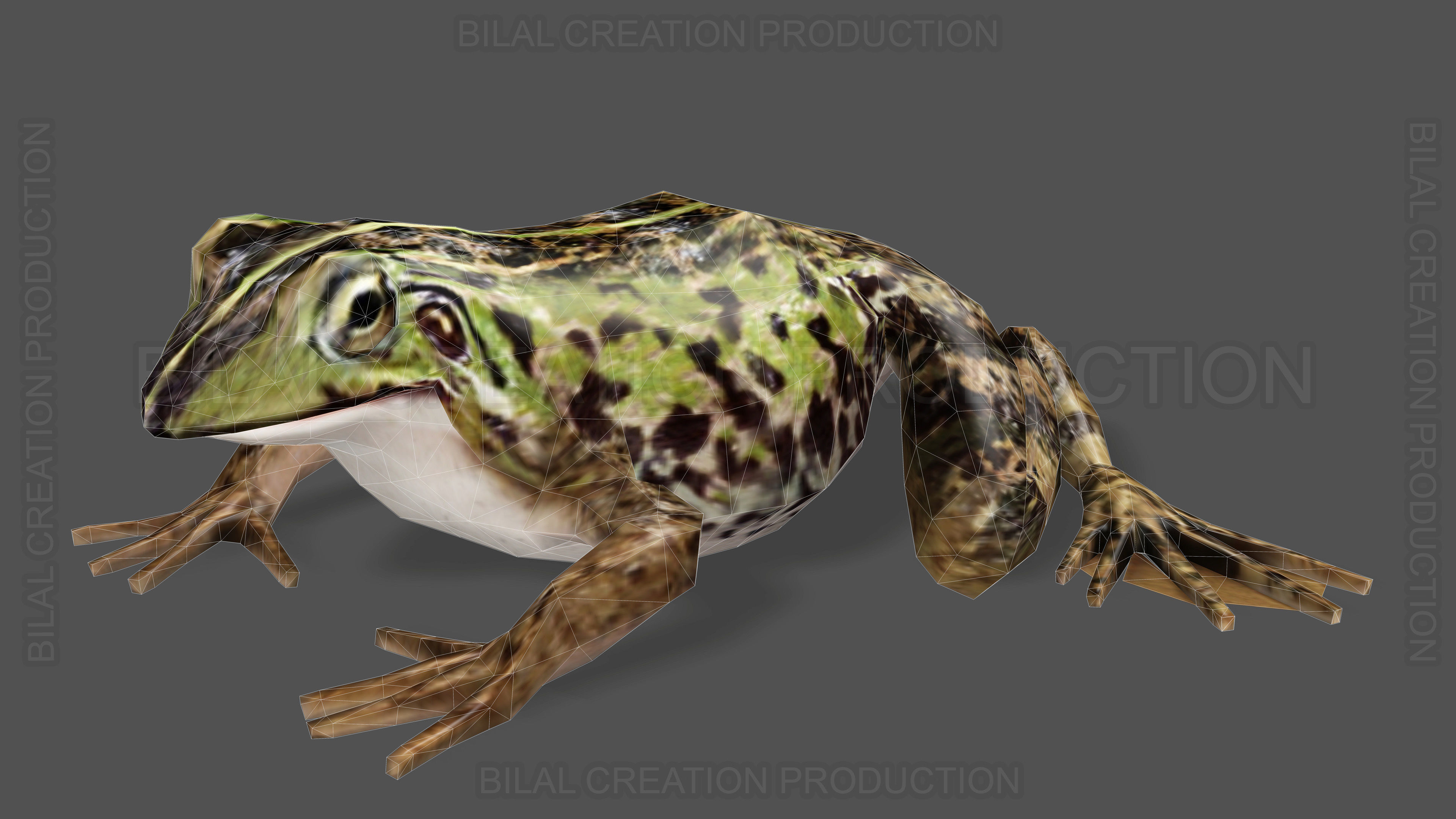 ANIMATED FROG 4 Low-poly 3D model_15