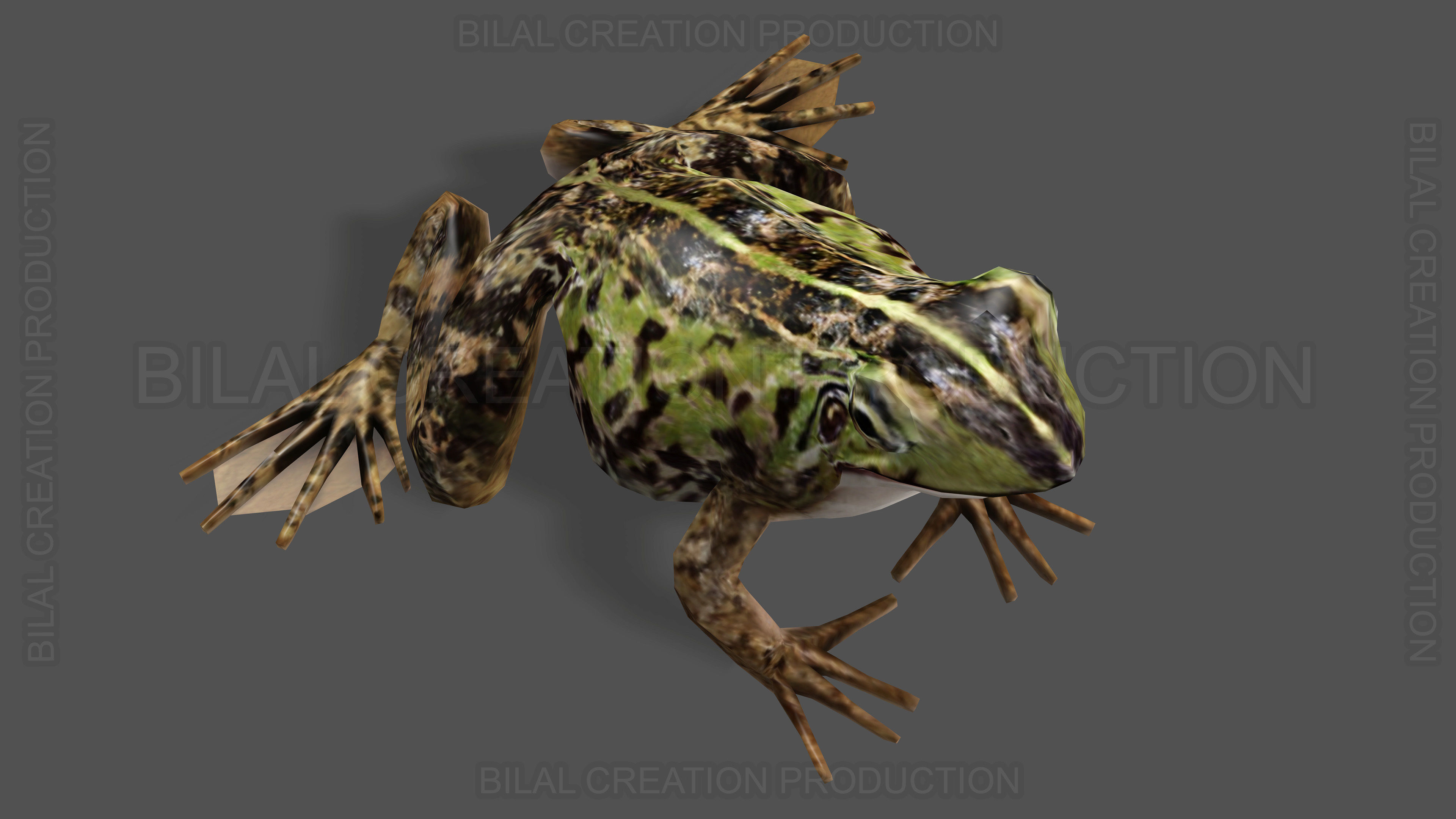 ANIMATED FROG 4 Low-poly 3D model_7