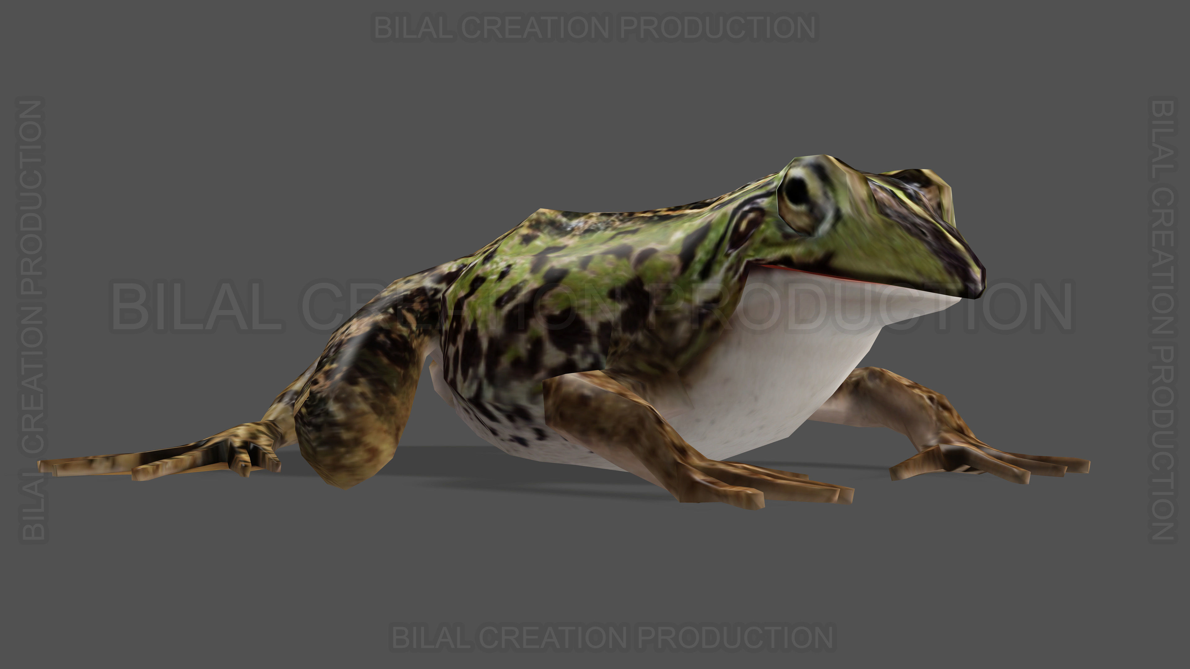 ANIMATED FROG 4 Low-poly 3D model_9