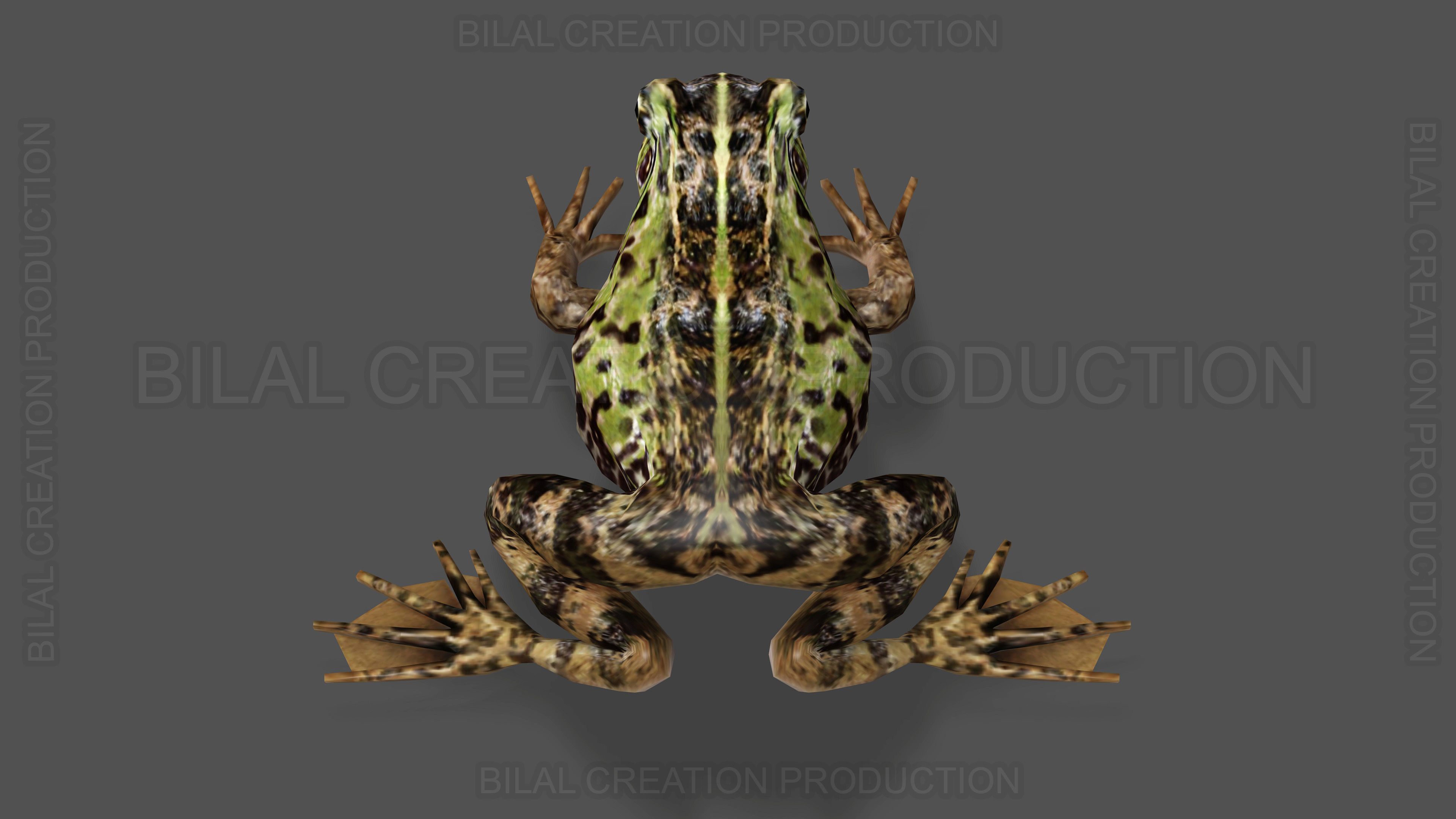 ANIMATED FROG 4 Low-poly 3D model_10