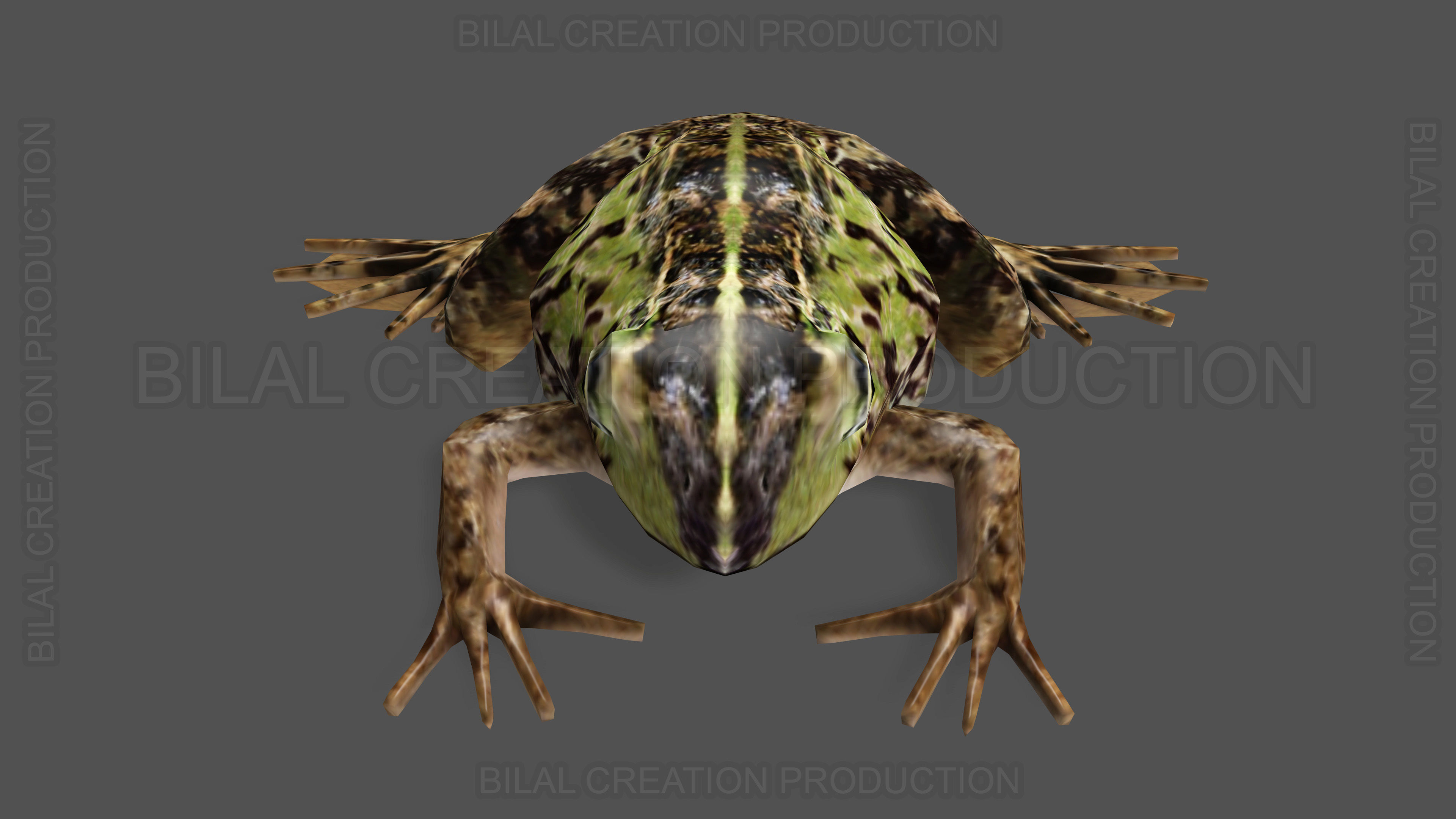 ANIMATED FROG 4 Low-poly 3D model_8