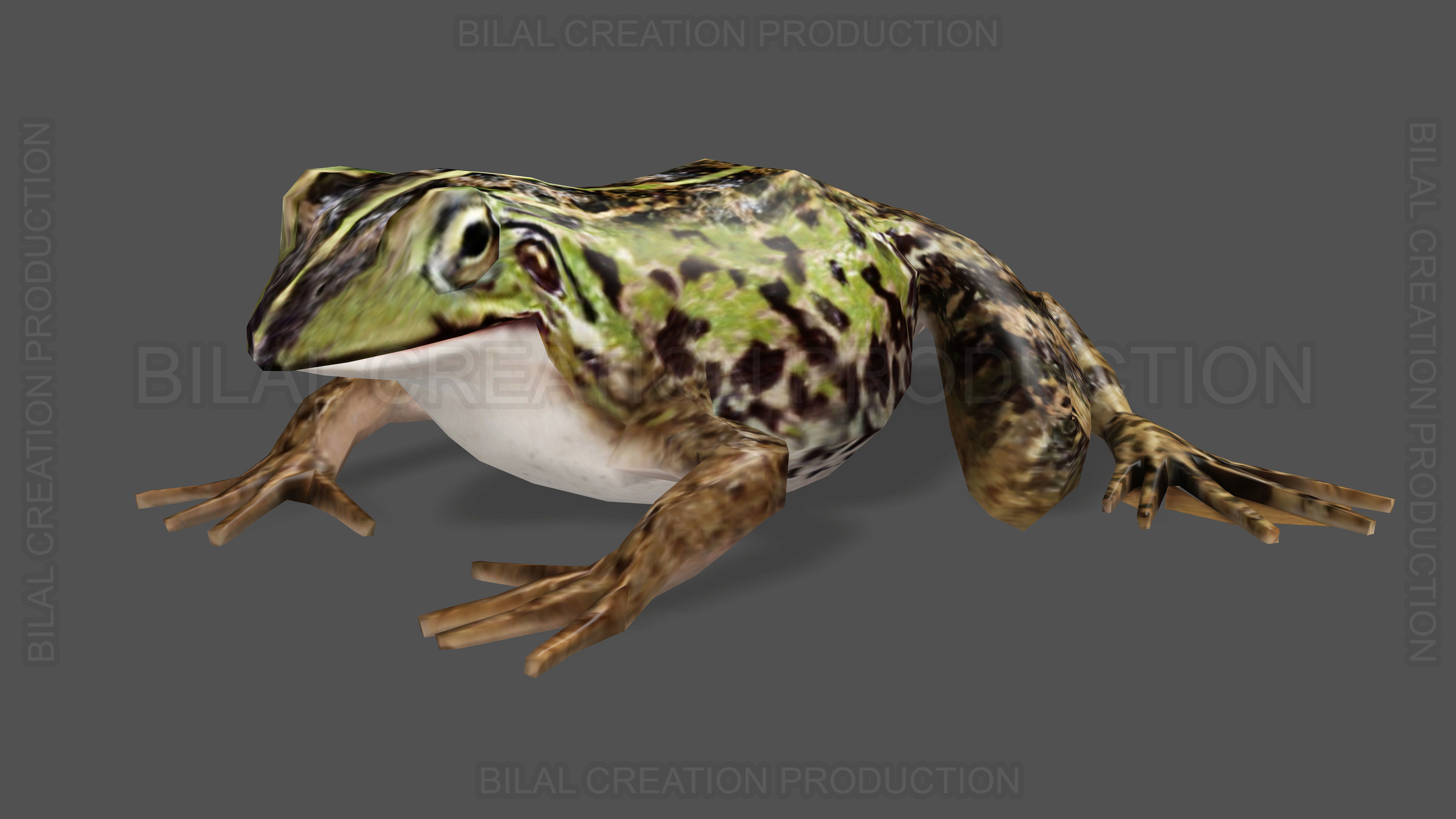 ANIMATED FROG 4 Low-poly 3D model_2