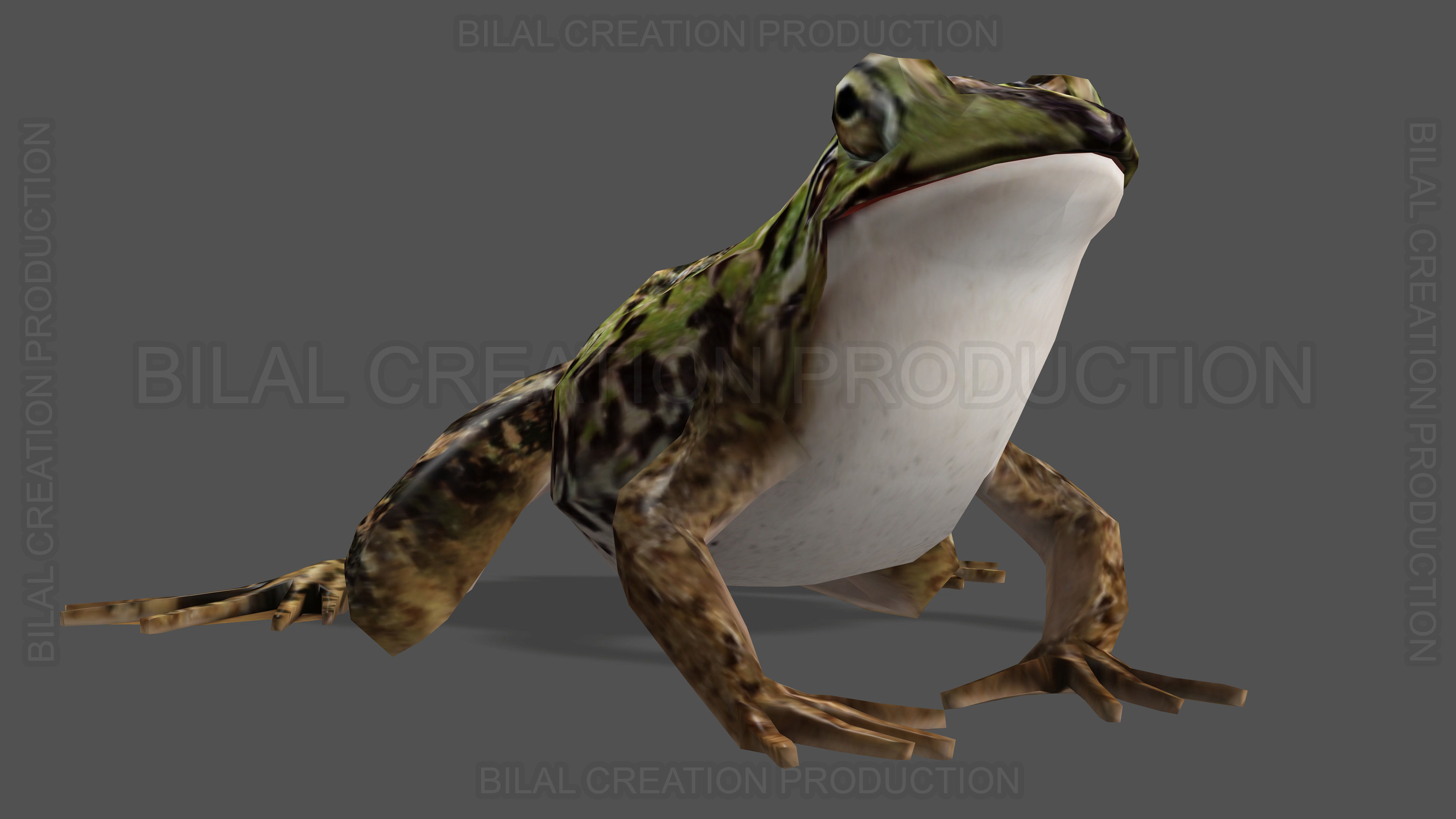 ANIMATED FROG 4 Low-poly 3D model_3