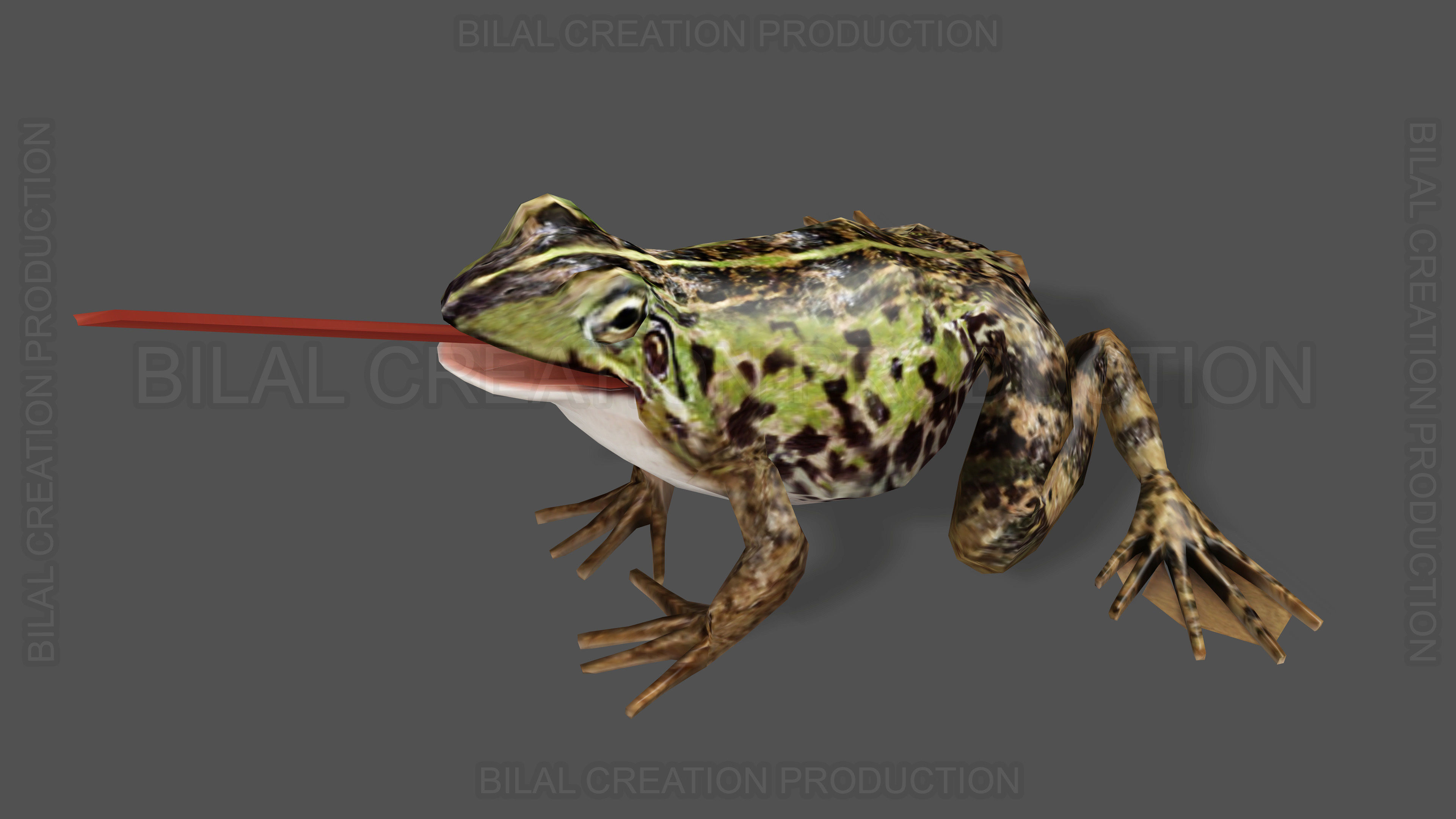 ANIMATED FROG 4 Low-poly 3D model_5