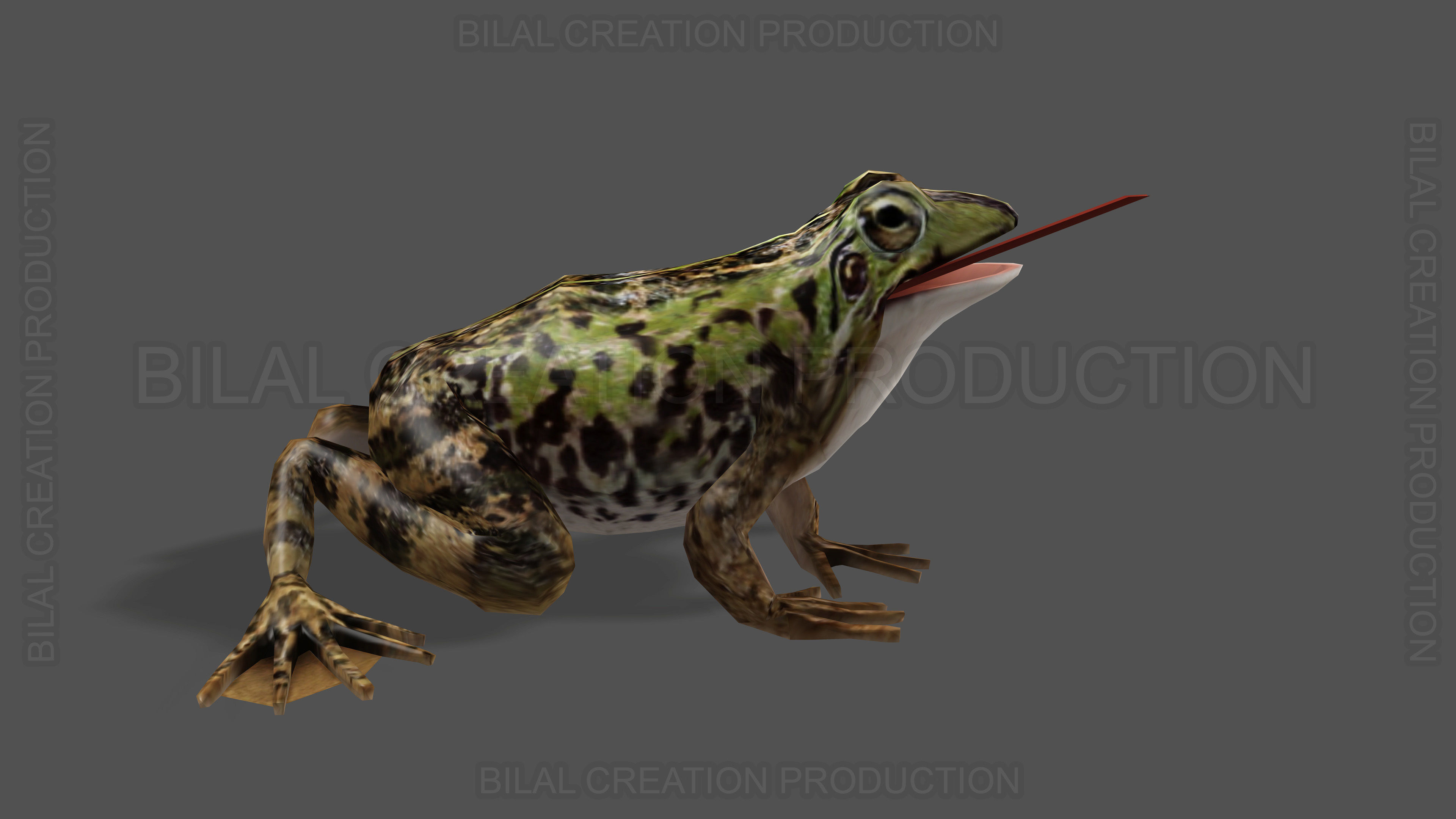 ANIMATED FROG 4 Low-poly 3D model_6