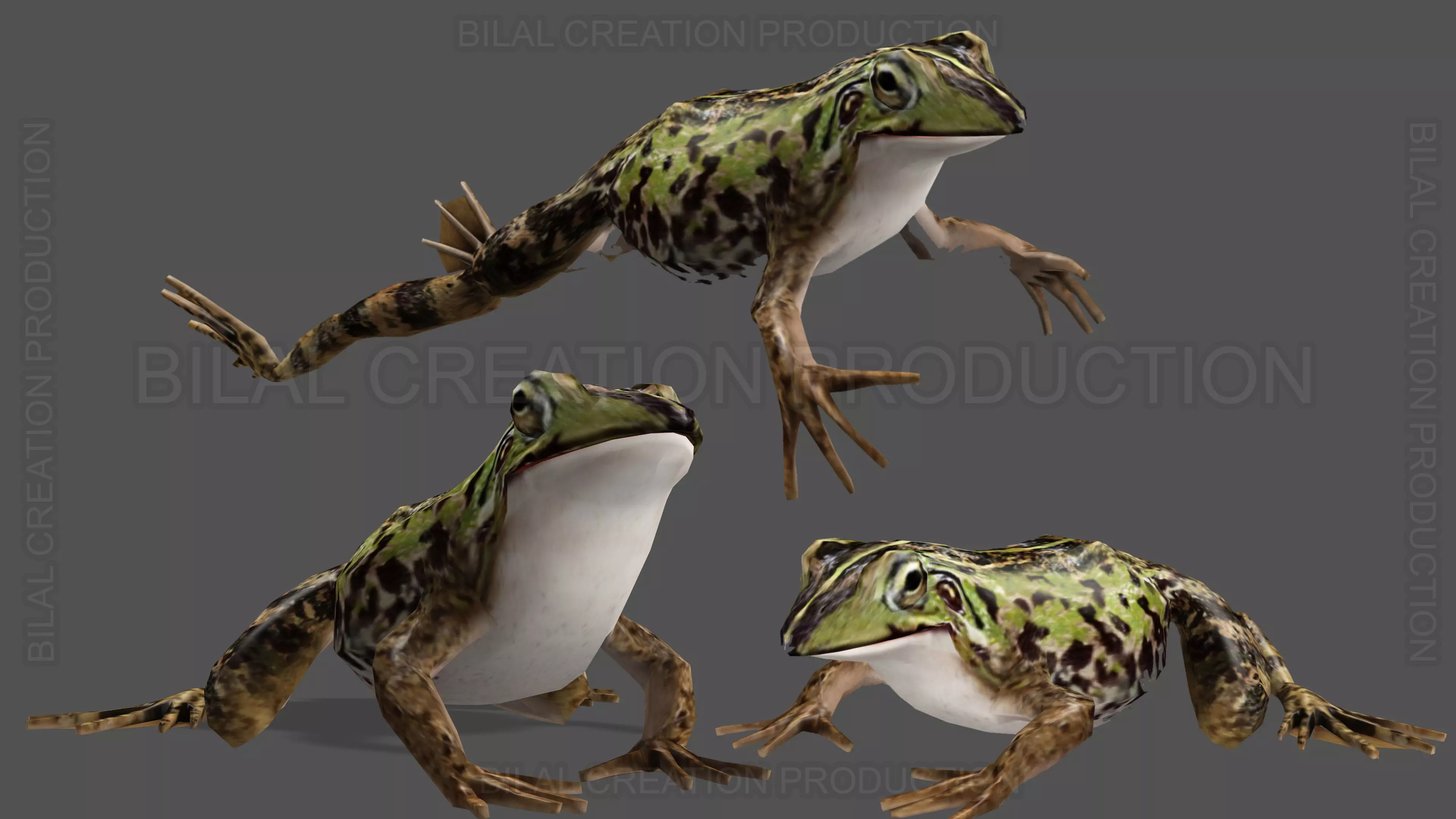 ANIMATED FROG 4 Low-poly 3D model_0