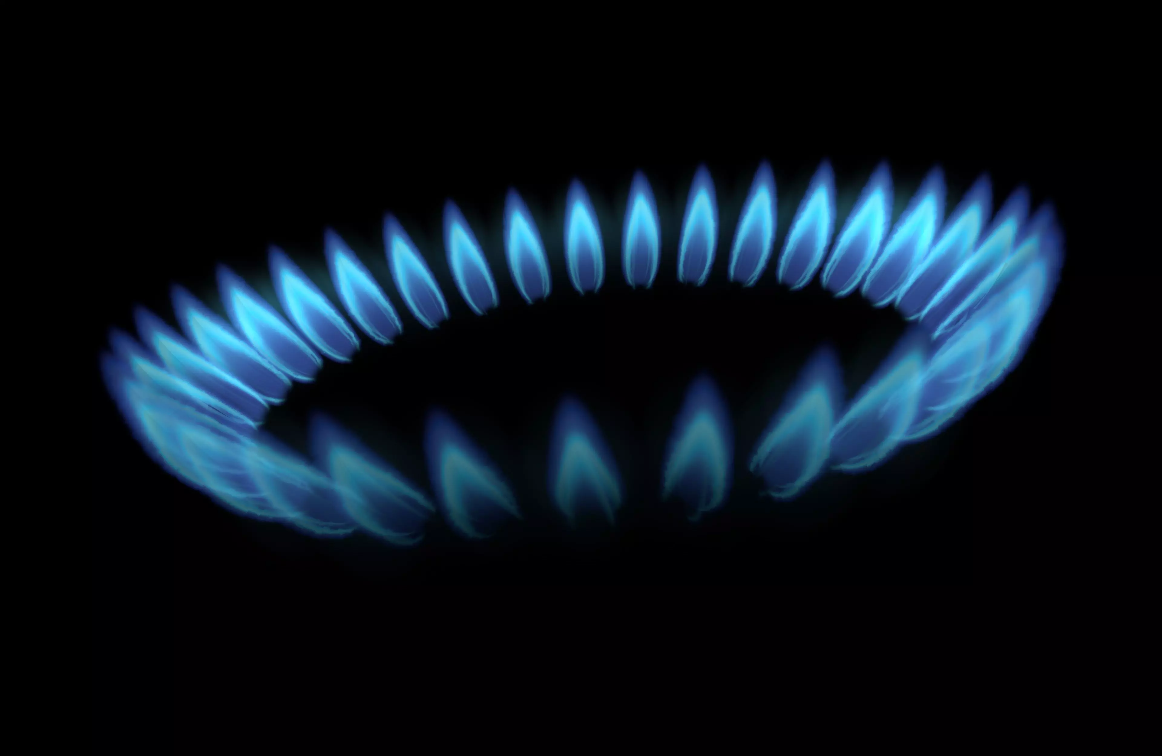 Cooker fire 3D model_0