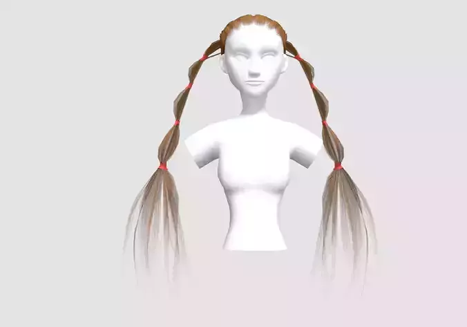 Side Ponytails Hairstyle 
