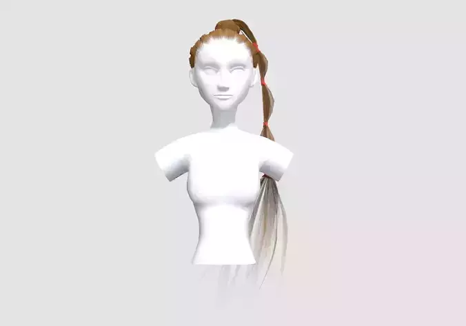 Ponytail Bun Hairstyle 