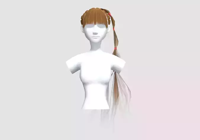 Pigtail Female Hairstyle 