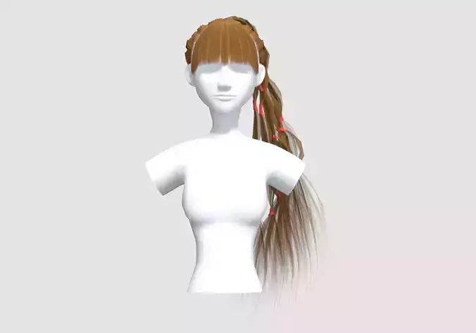 Long Pigtail Hairstyle 