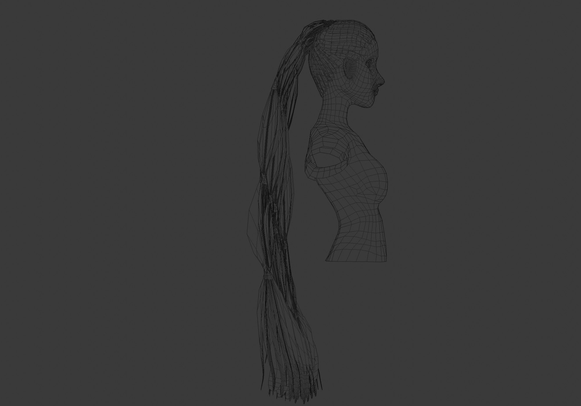 Long Female Hairstyle  3D model_7