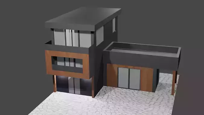 Modern House