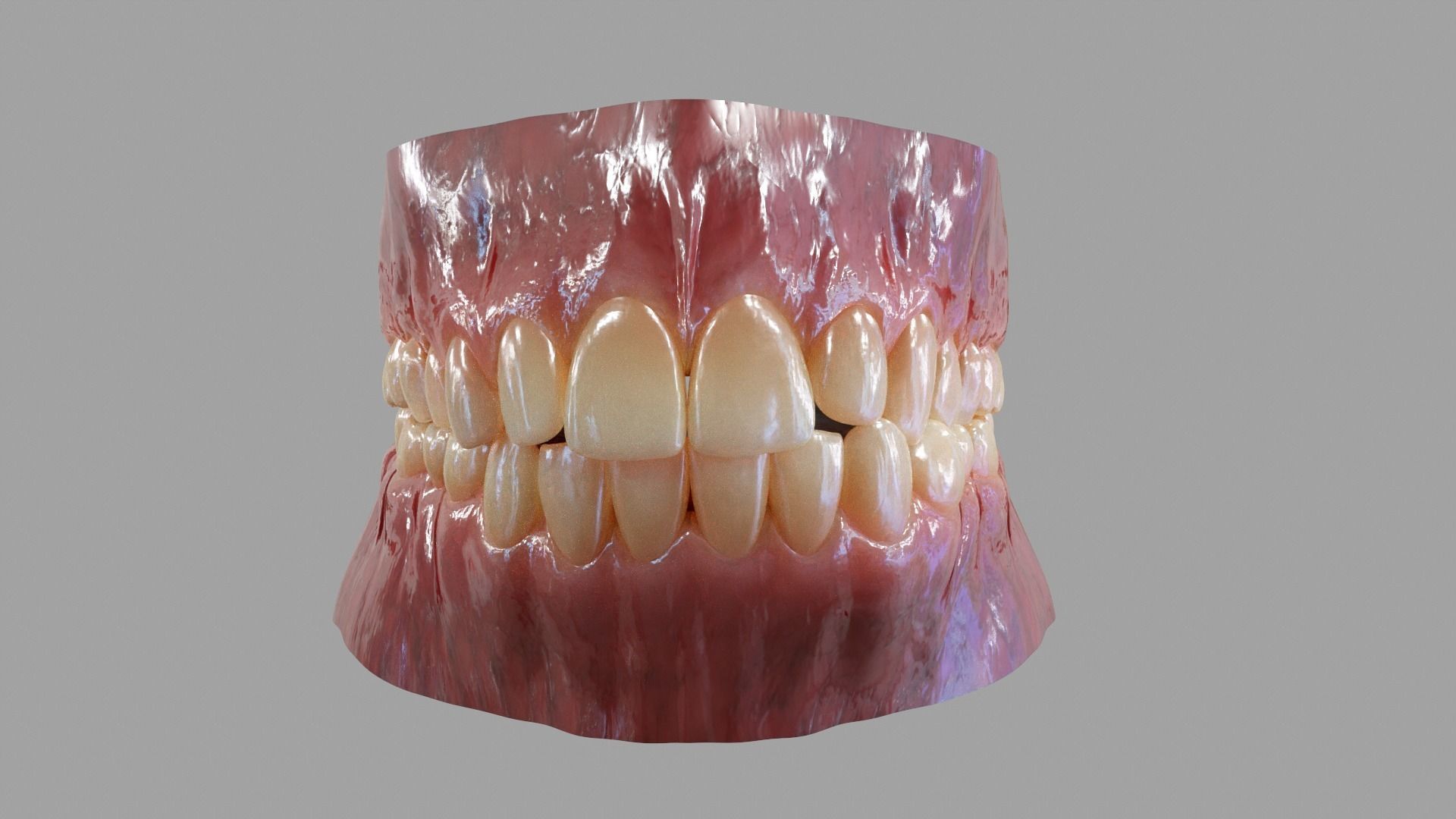 Gums Teeth and Tongue Low-poly 3D model_7