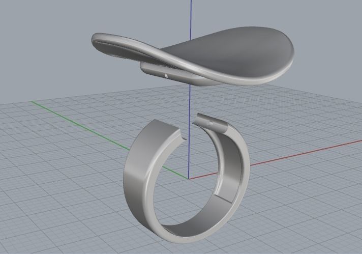 Ring Model 1755 3D print model_4