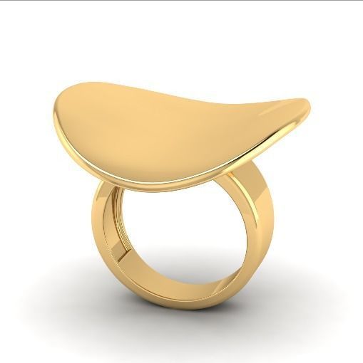 Ring Model 1755 3D print model_1