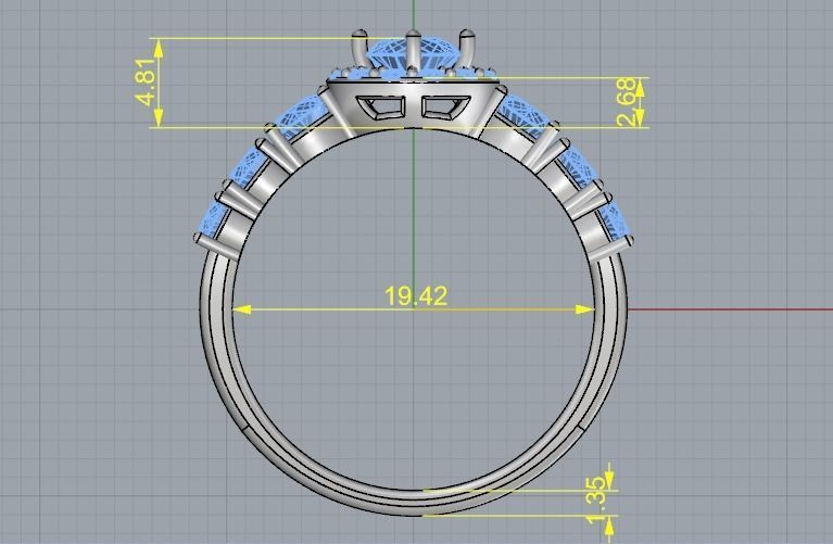 Ring Model 1769 3D print model_5