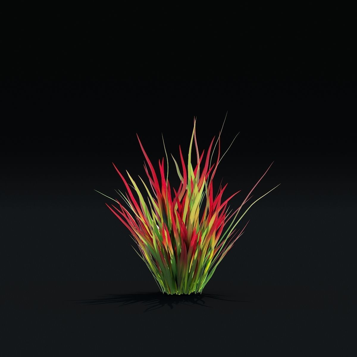 Imperata cylindrical grass 3D model_8