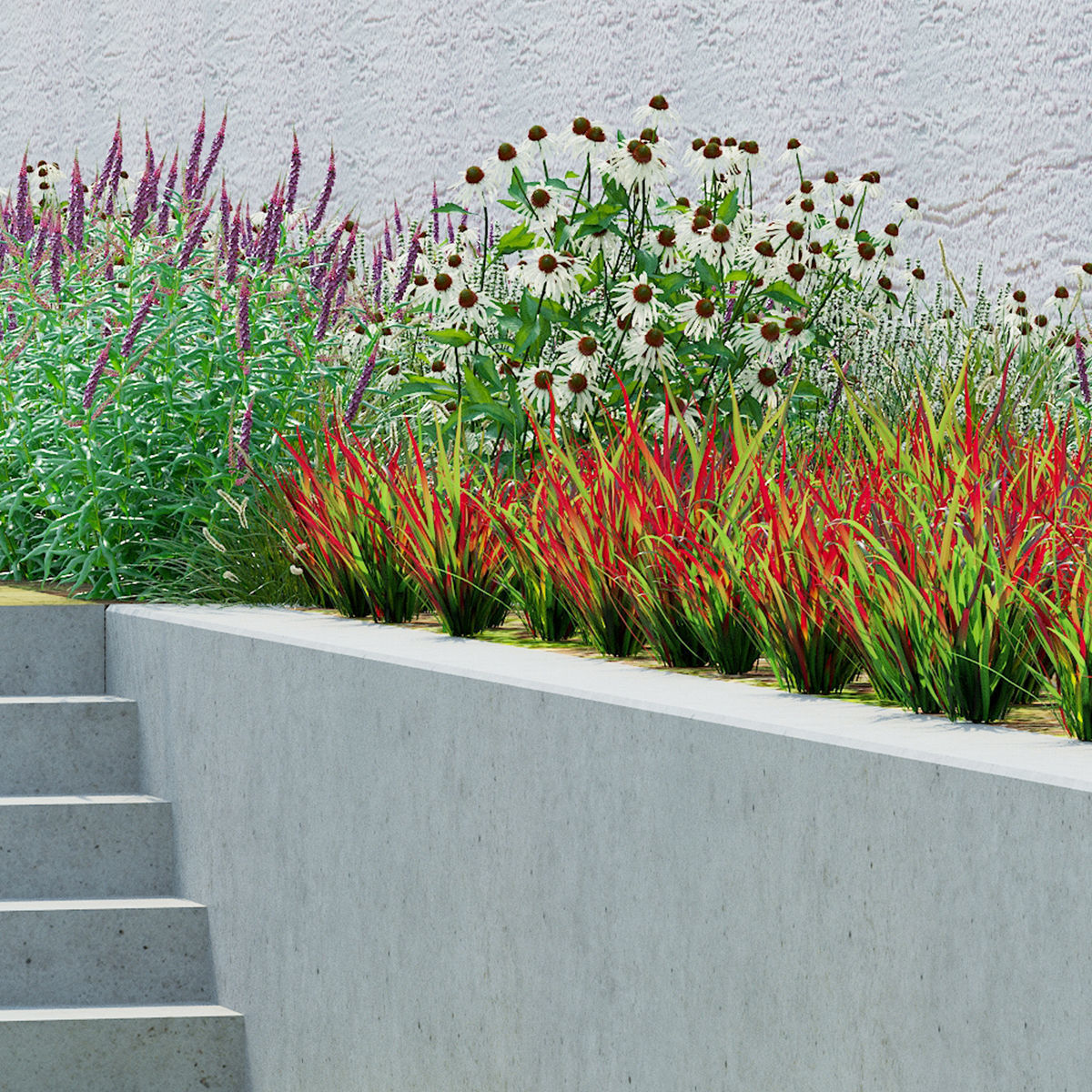 Imperata cylindrical grass 3D model_15