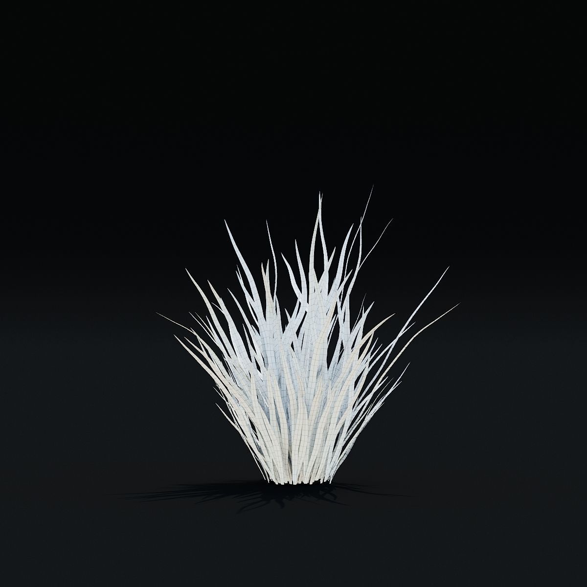 Imperata cylindrical grass 3D model_7