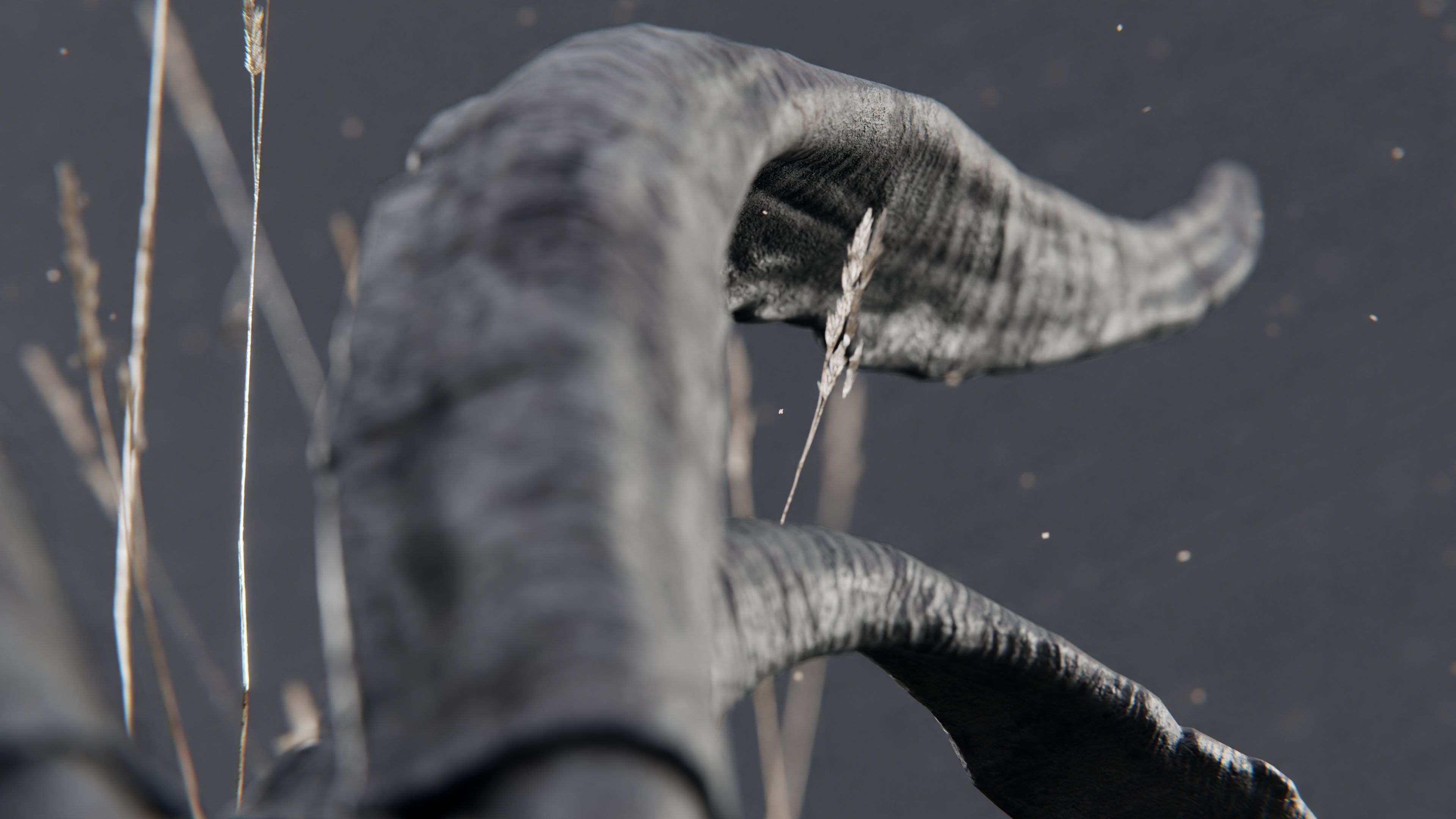 demon goat skull black 3D model_3