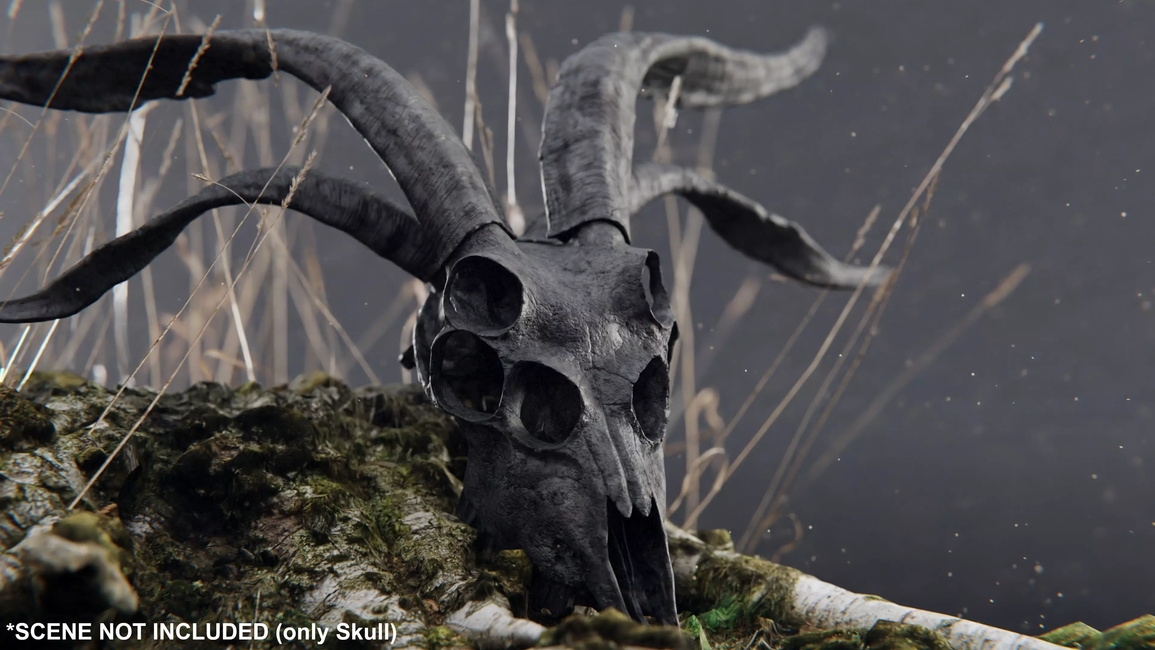 demon goat skull black 3D model_0