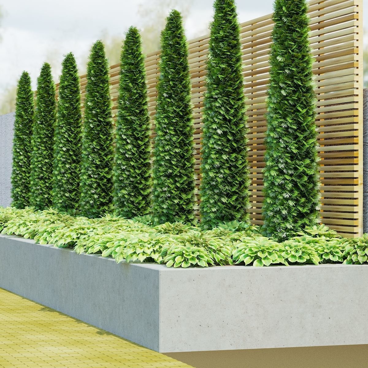 Hosta plant 3D model_9