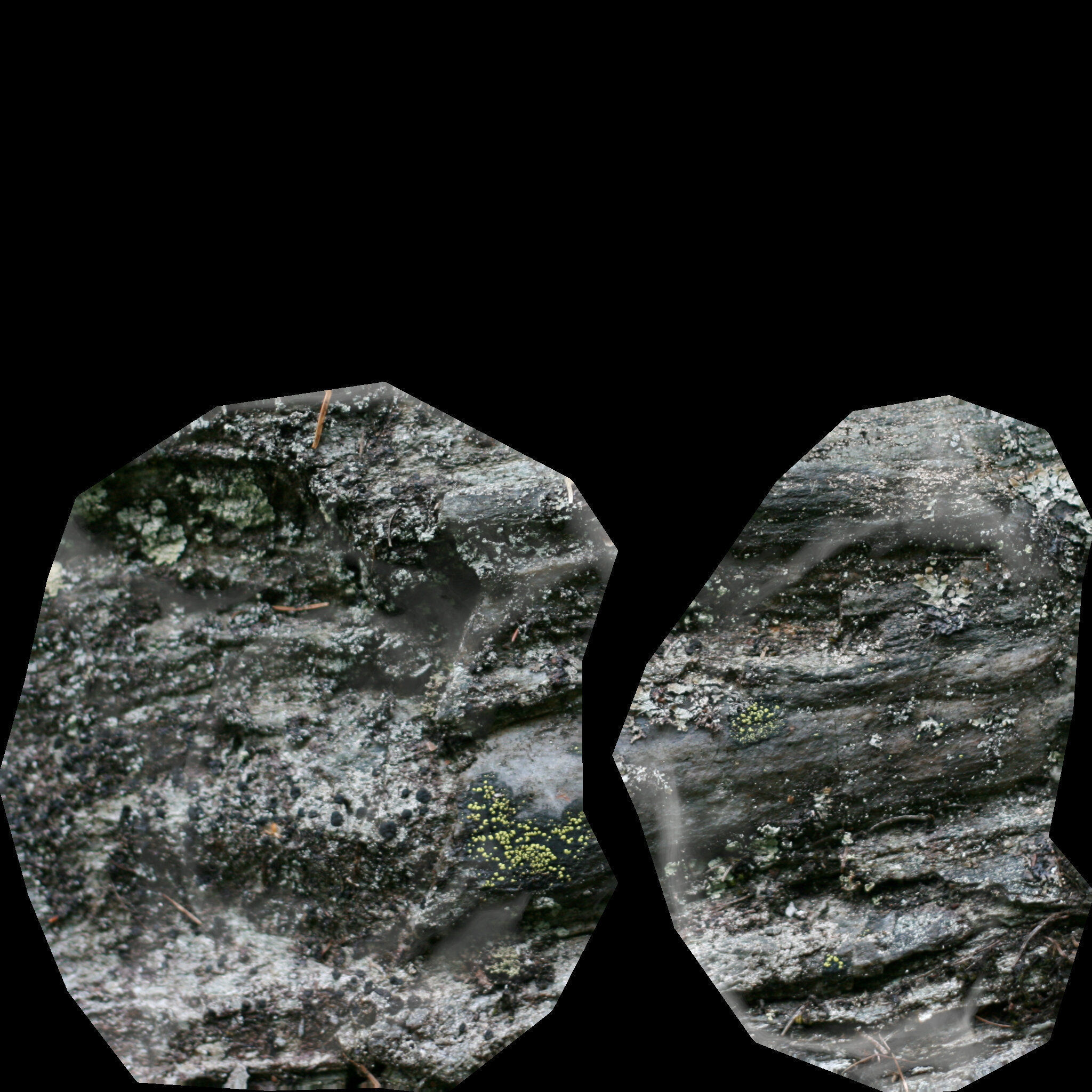 3 rock types Low-poly 3D model_17