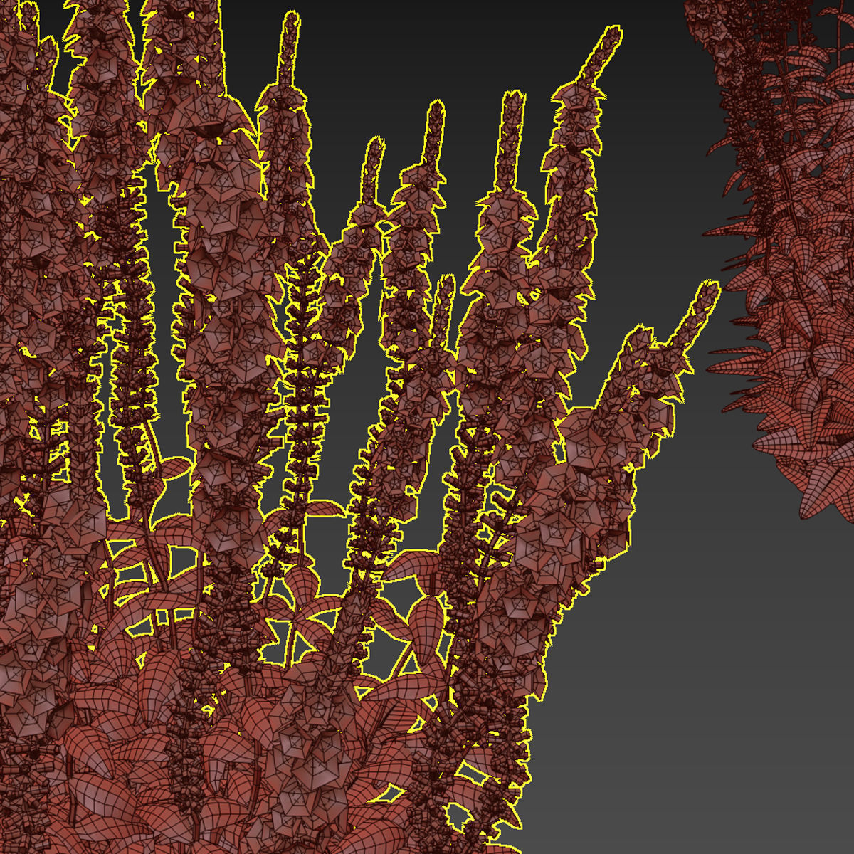 Salvia nemorosa 3D model_3