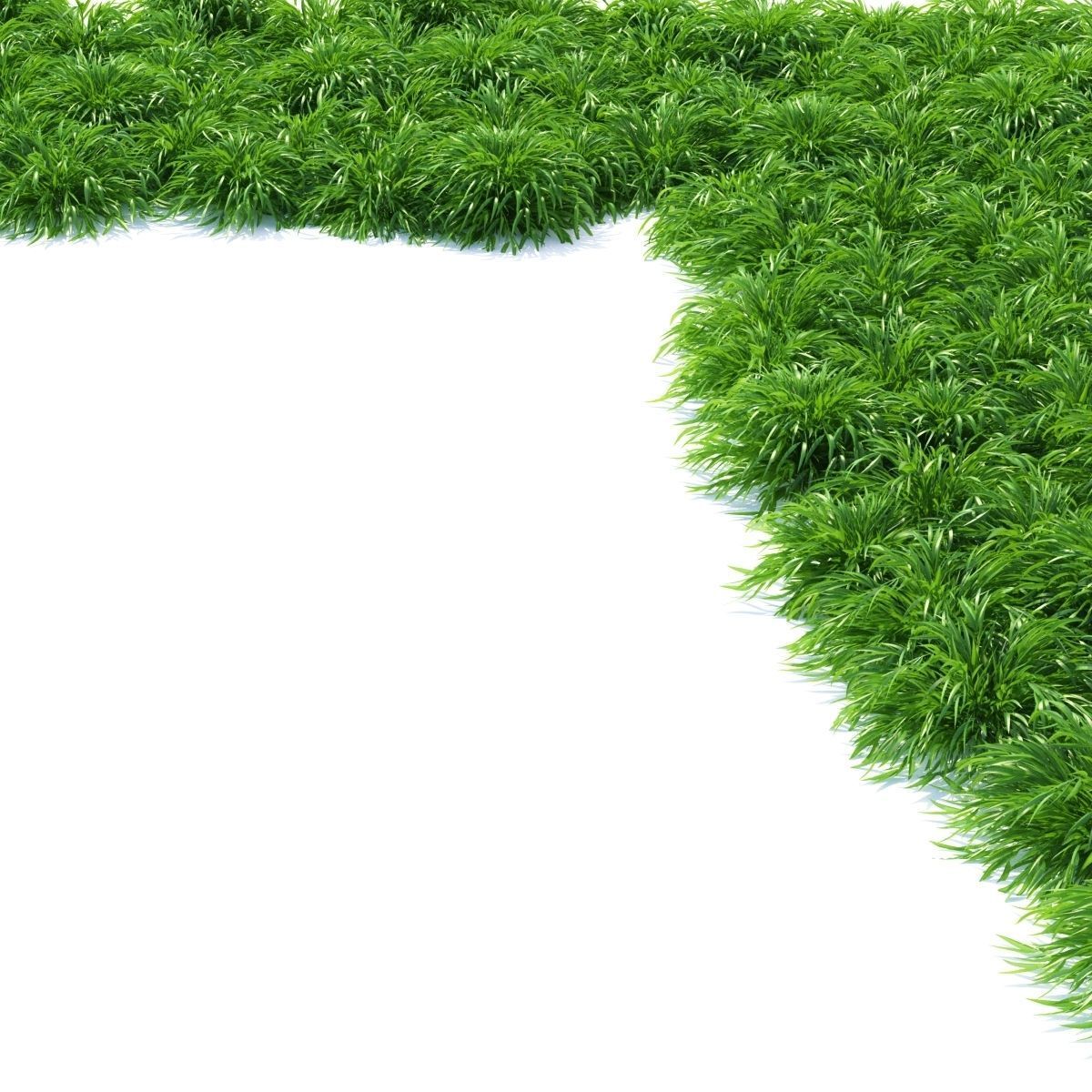 Hakonechloa macra grass vol 3 3D model_1