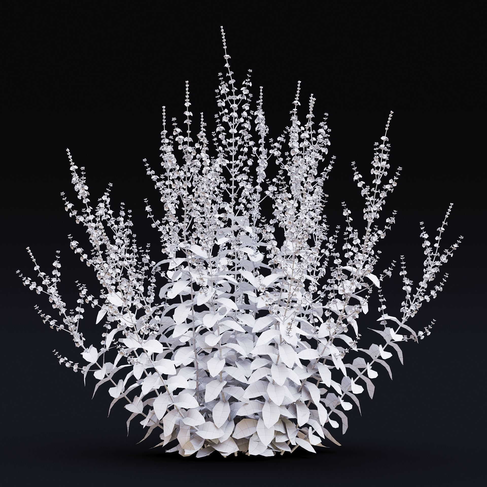 Perovskia atriplicifolia flower 3D model_9