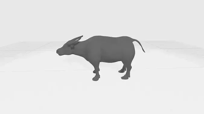 Buffalo 3D Model bull