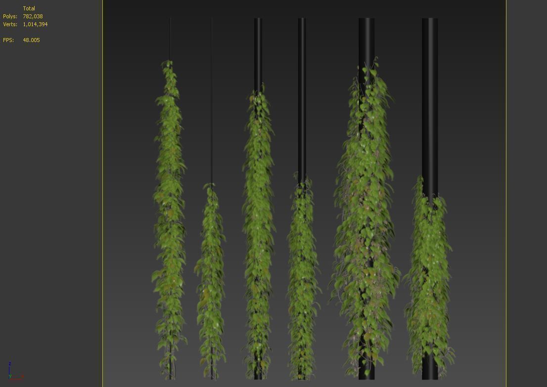 Vine plant 03 3D model_7