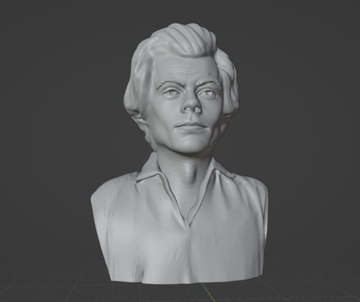 Harry Styles 3D print model_4