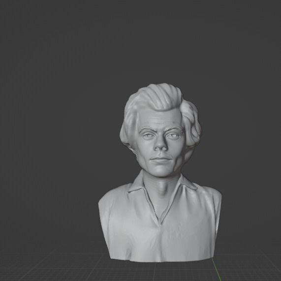 Harry Styles 3D print model_11